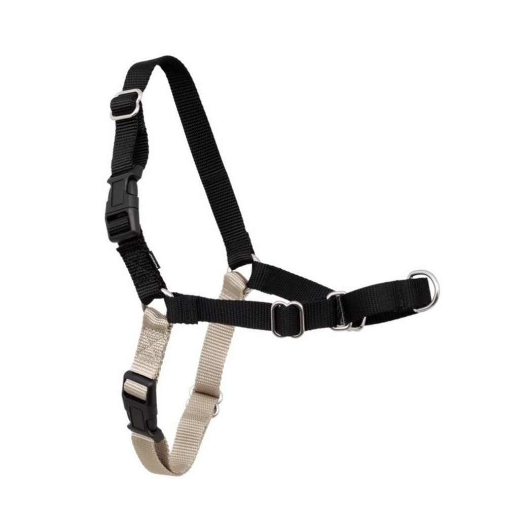 PetSafe Easy Walk Dog Harness Size: Med/ Large Fawn / Black No Pull Harness